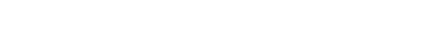 TotalPass